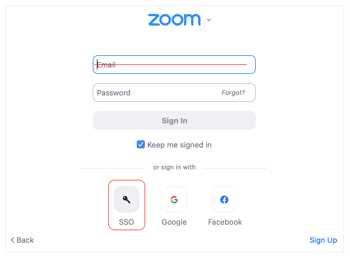 Zoom single sign on