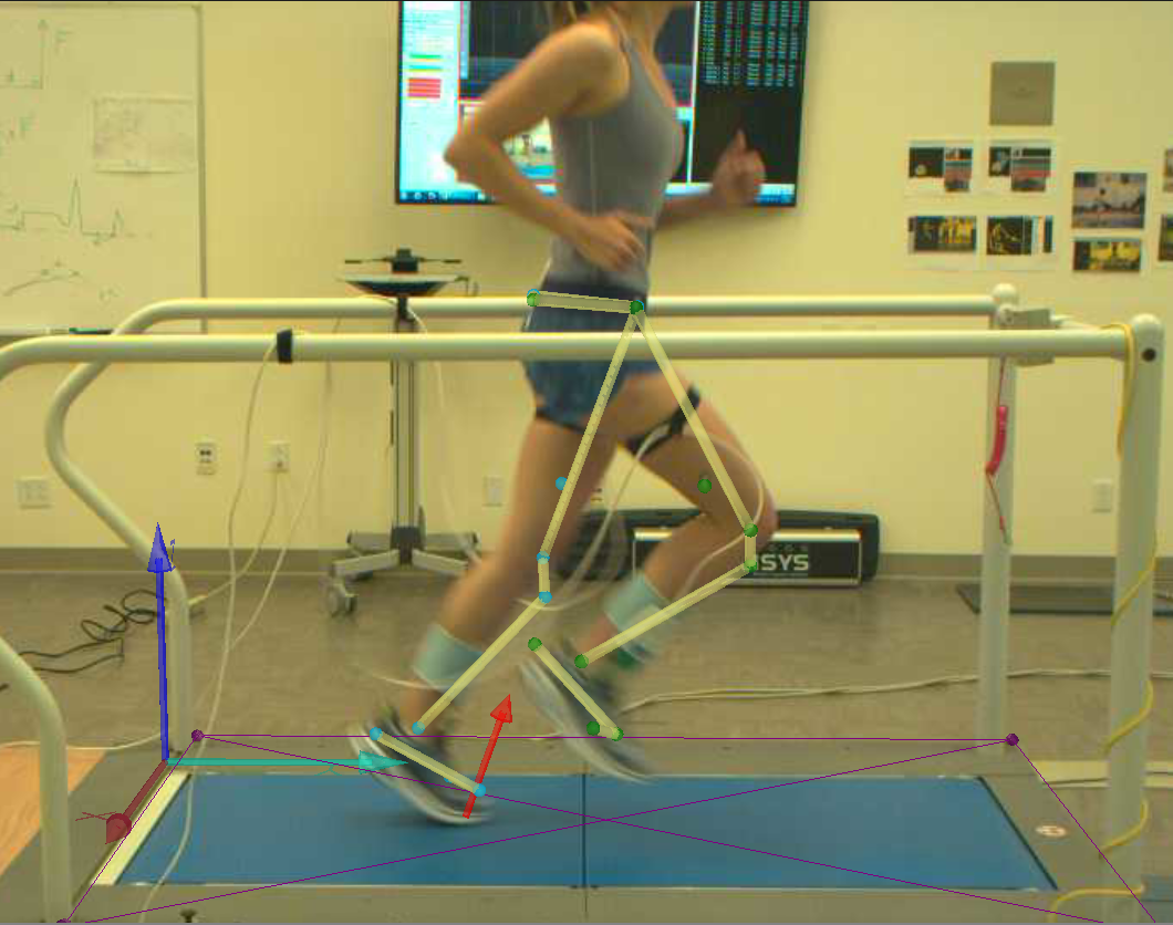 Treadmill running with model overlay