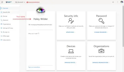 Screenshot of Account Manager