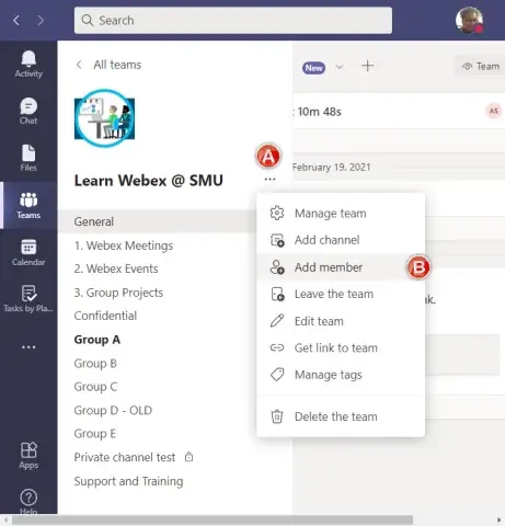 Screenshot of MS Teams Guest