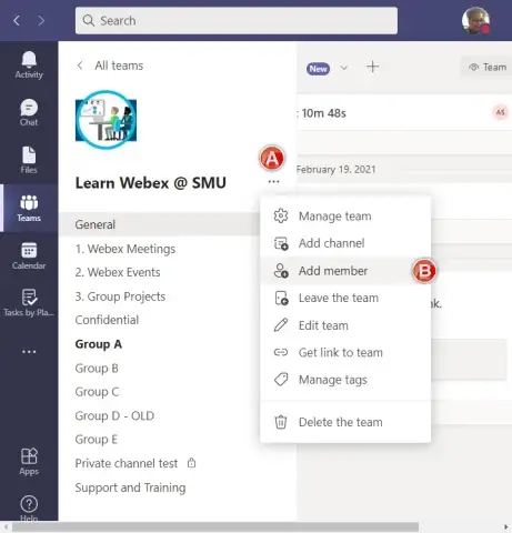 Screenshot of MS Teams Guest