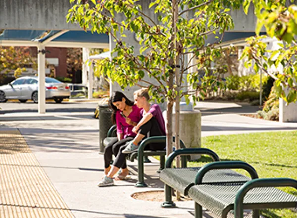 Students on benches of Oakland Campus lawn