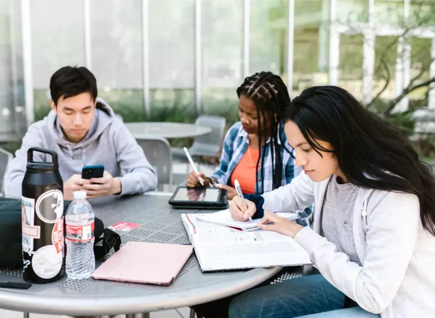 Bachelor of Health Sciences students studying