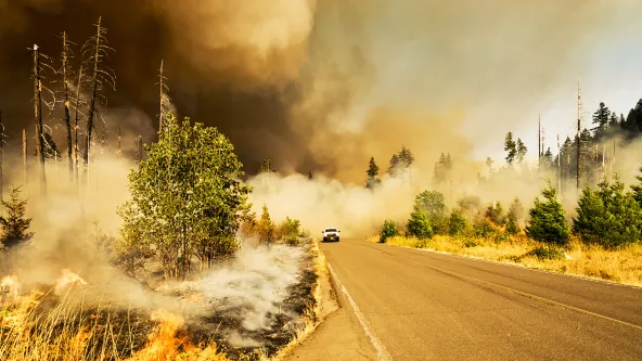Wildfire with white truck