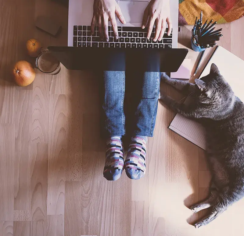 Photo of a laptop user